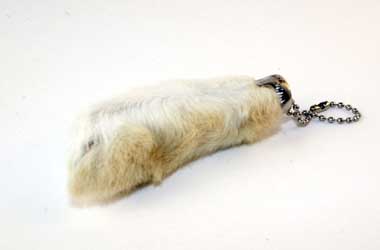 Rabbits Foot